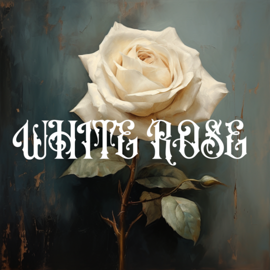 White Rose (Honey)