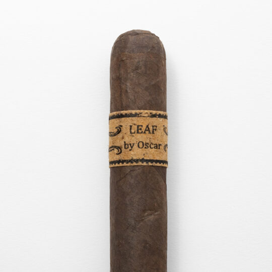 Leaf by Oscar Maduro